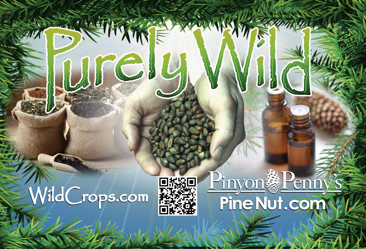 American Pine Nuts - shell free pine nut kernels from Nevada 100% product of USA